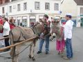 carnaval avril 2014 (22).jpg